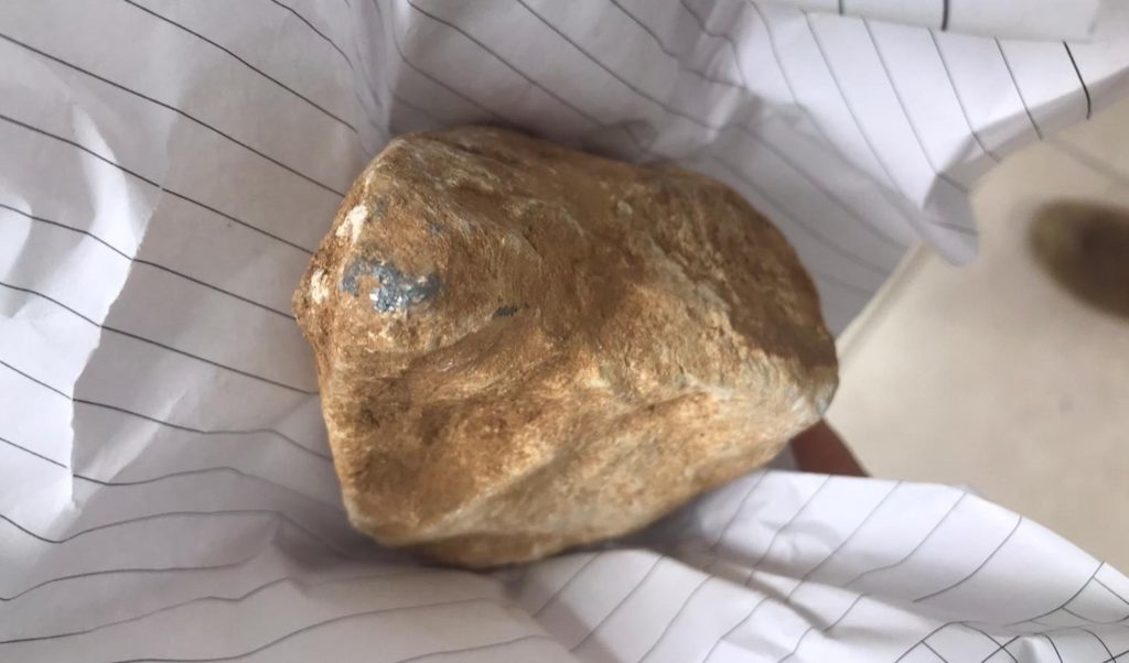 טרור מסביב לשעון