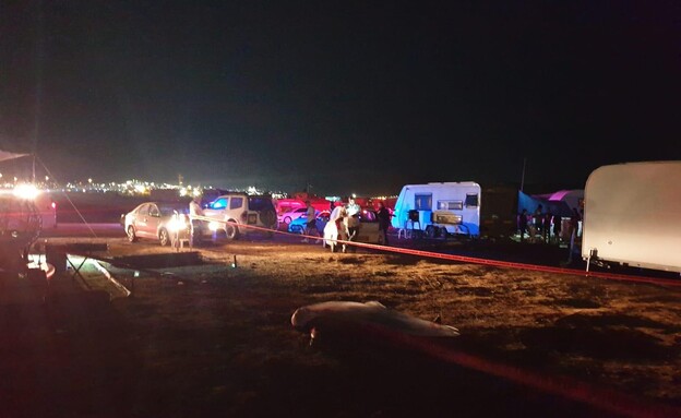 חשד לרצח בחוף הים הצפוני באילת (צילום: דוברות המשטרה)